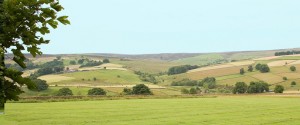 longnor-wood-view-over-fields