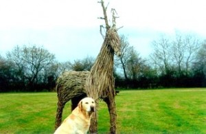 dog-wicker-stag