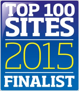 Top 100 2015 Finalist