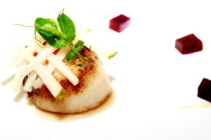 scallop