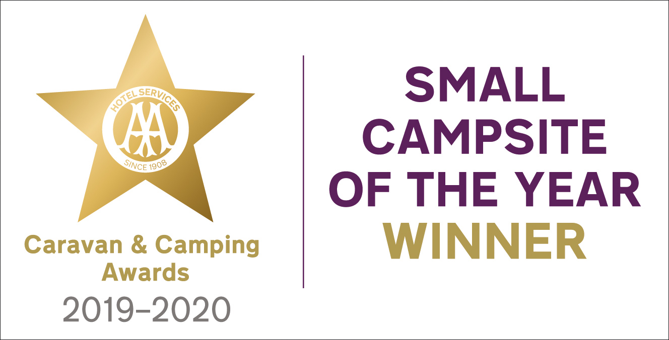 AA Small Campsite of the Year Winner 19 20