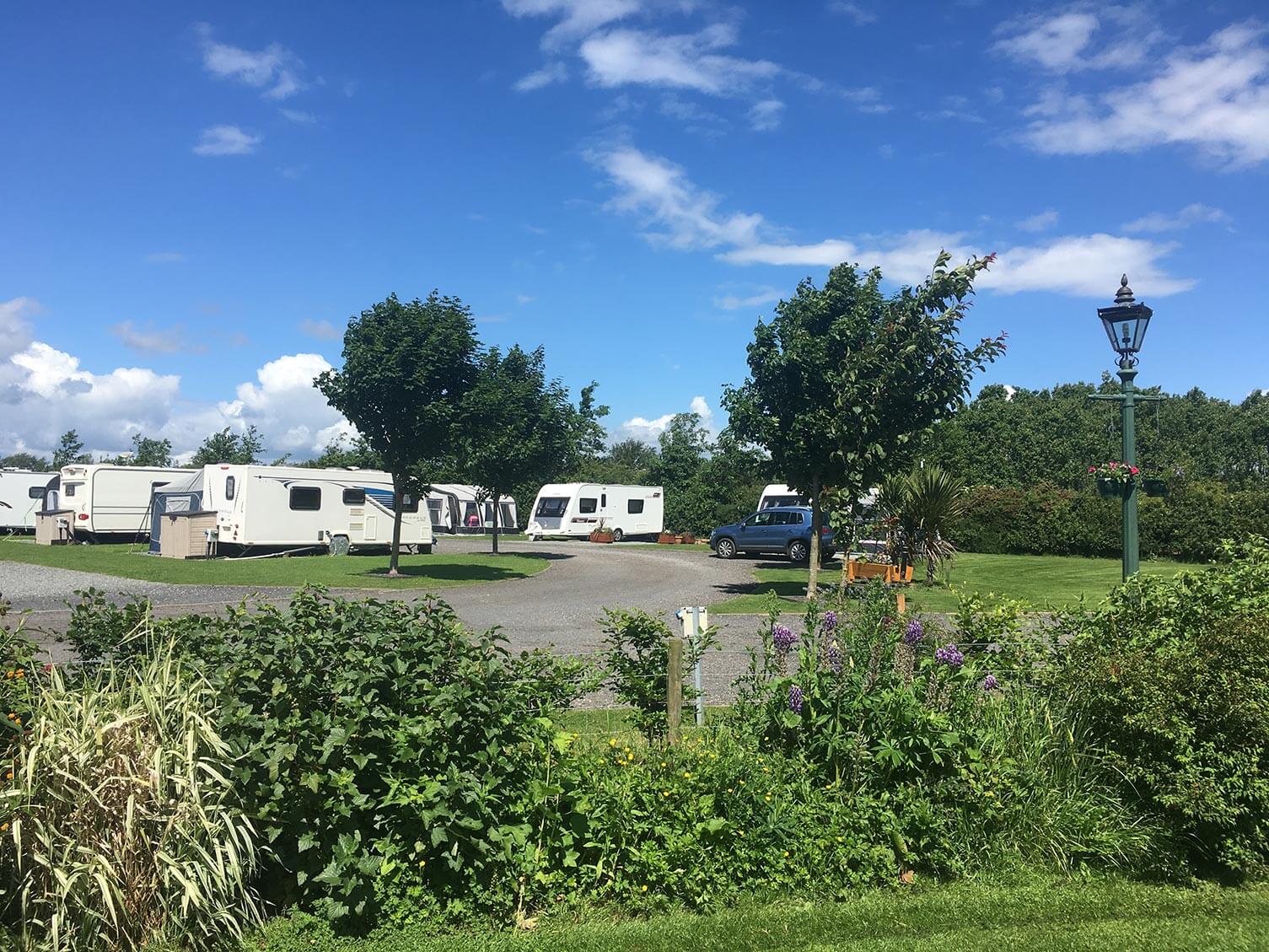 Blue Rose Country Caravan Park image