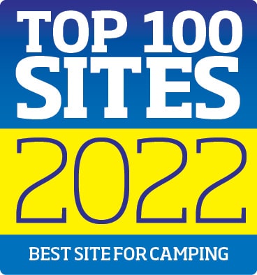 Top 100 Sites 2022