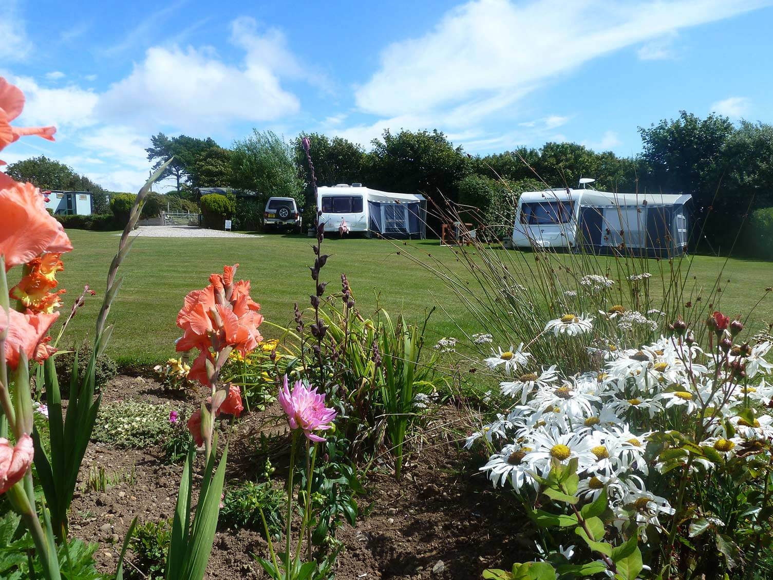 The Willows Caravan Camping Park | Tranquil Parks