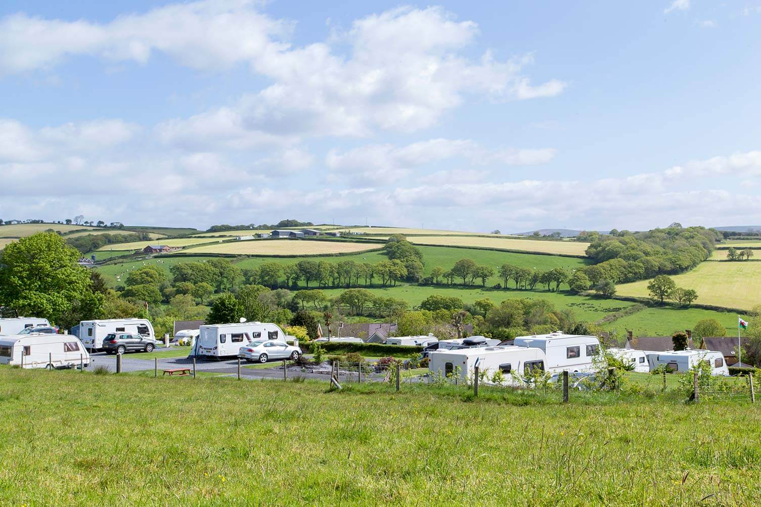 Llwynifan Farm Caravan Park | Tranquil Parks