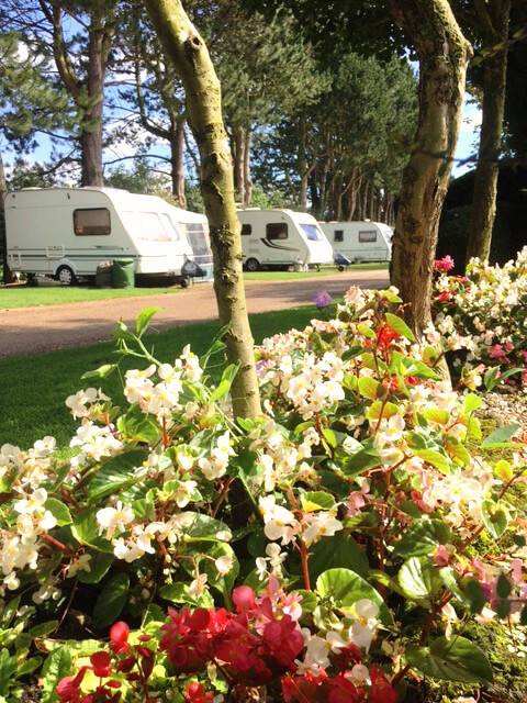 Overbrook Caravan Park image