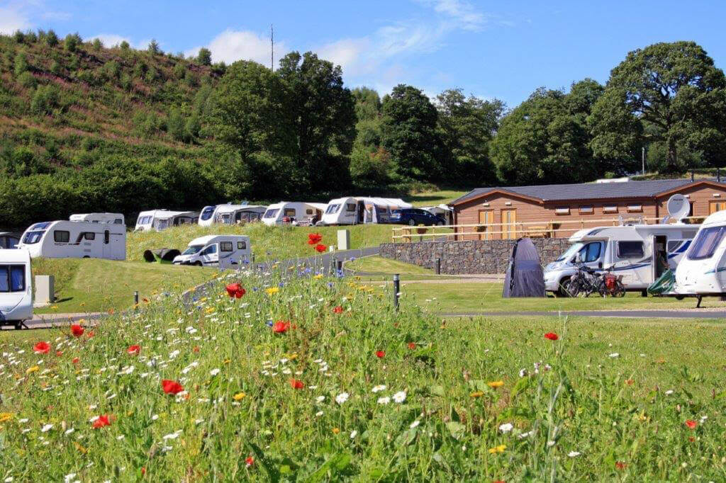 Red Kite Touring Park image