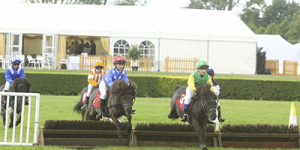 Shetland Pony Grand National