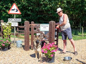 Pets Parade dog area at Bath Chew Valley Caravan Park