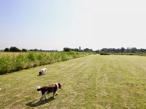 Delph Bank dog walk area