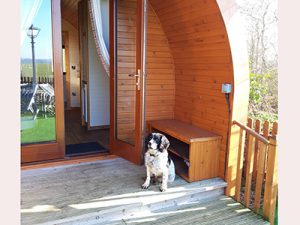 Eye Kettleby Lakes luxury dog friendly pod