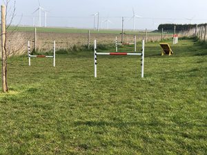 Fields End Water dog agility course