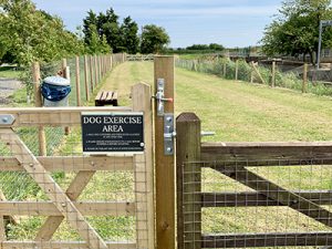 Groobys Pit dog exercise area