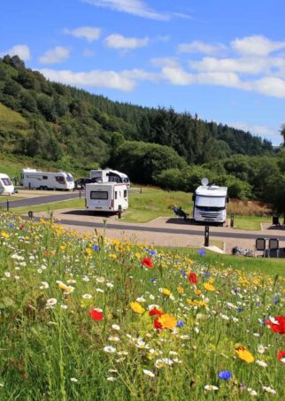 camping touring meadow