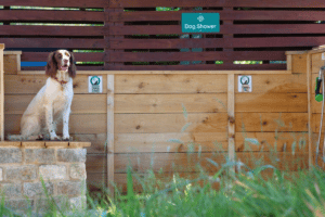 Woodland Springs dog wash